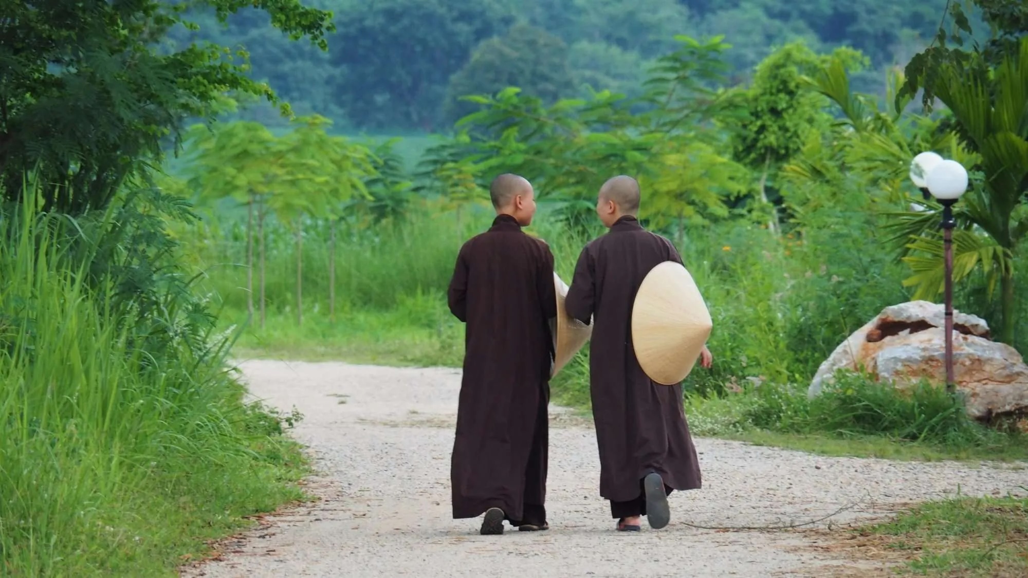 Sangha walking peacefully